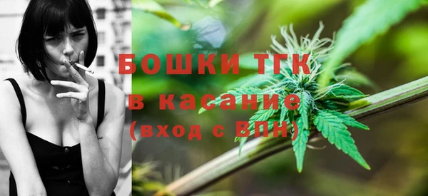 прущие грибы Армянск