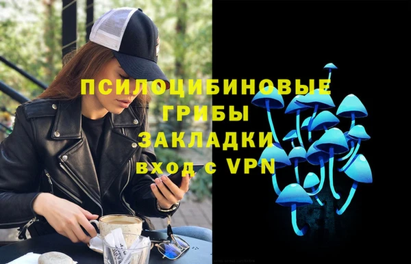 бошки Аркадак