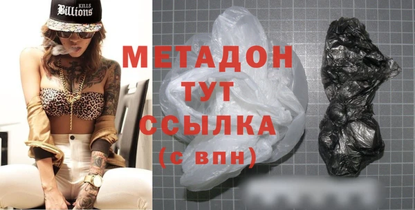 прущие грибы Армянск