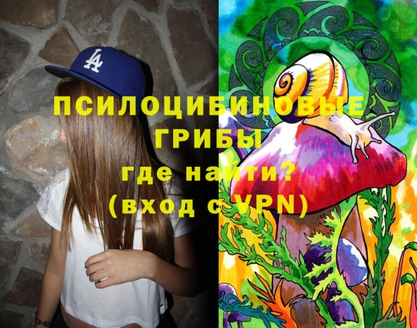 прущие грибы Армянск