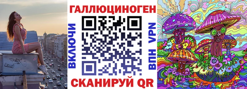 Псилоцибиновые грибы Psilocybe  Купить  Бологое 